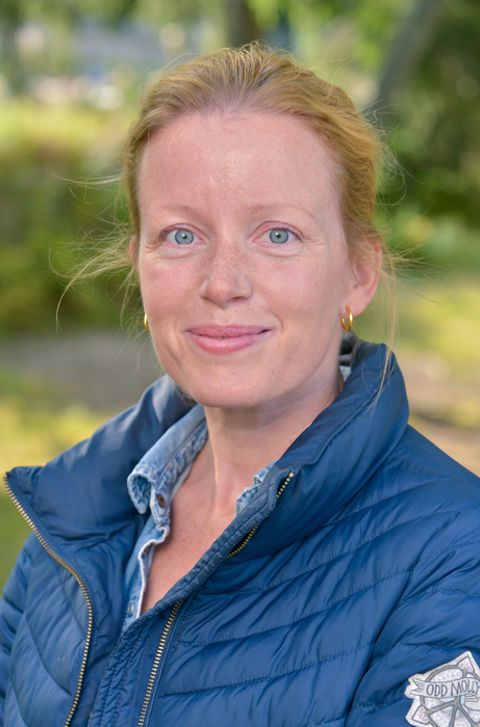 Janicke C